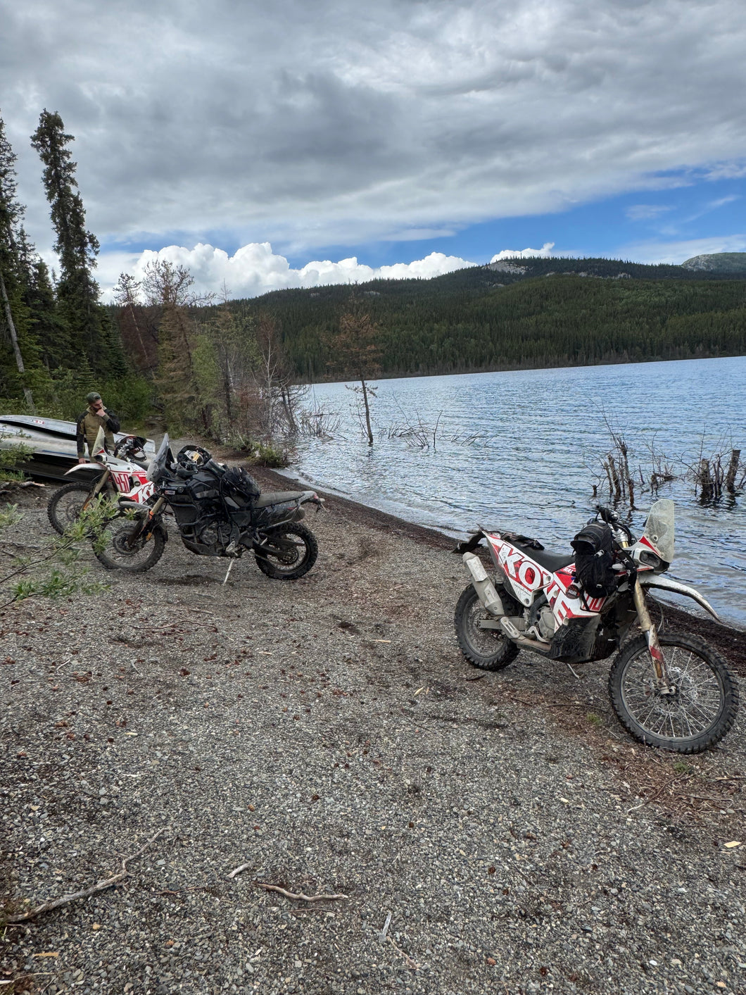 Half day and full day trips in the trails around Whitehorse.